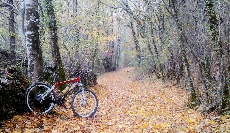 adelantamiento ciclistas peq